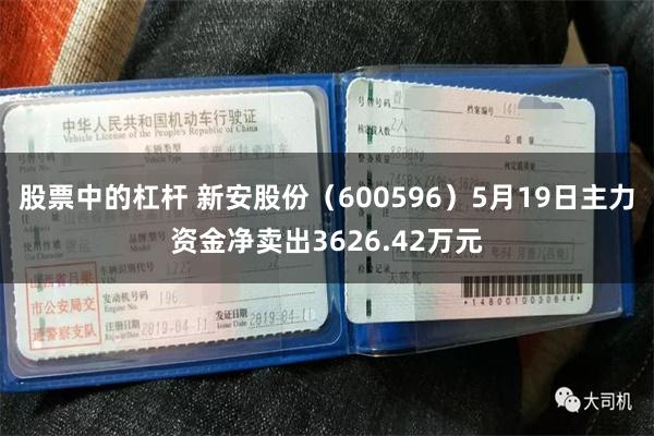 股票中的杠杆 新安股份（600596）5月19日主力资金净卖出3626.42万元