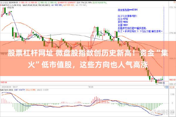 股票杠杆网址 微盘股指数创历史新高！资金“集火”低市值股，这些方向也人气高涨