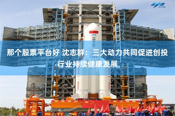 那个股票平台好 沈志群：三大动力共同促进创投行业持续健康发展