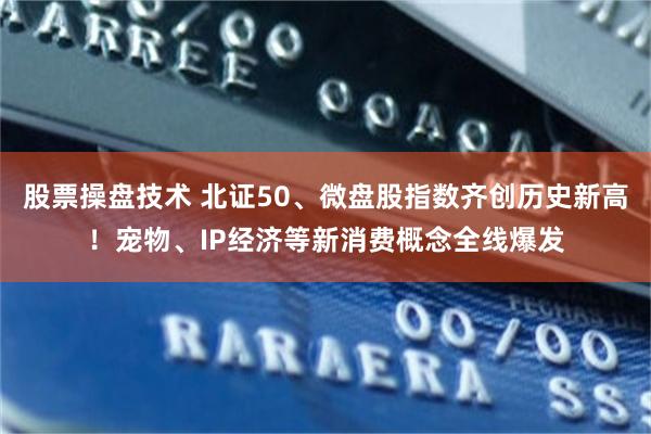 股票操盘技术 北证50、微盘股指数齐创历史新高！宠物、IP经济等新消费概念全线爆发