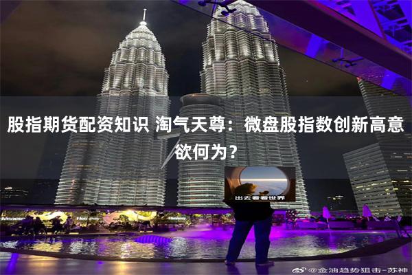 股指期货配资知识 淘气天尊：微盘股指数创新高意欲何为？
