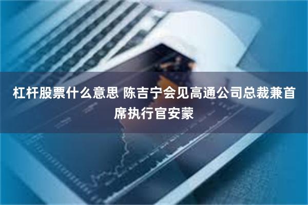 杠杆股票什么意思 陈吉宁会见高通公司总裁兼首席执行官安蒙