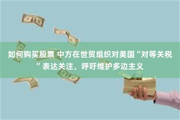 如何购买股票 中方在世贸组织对美国“对等关税”表达关注，呼吁维护多边主义