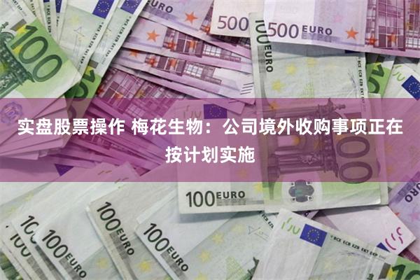 实盘股票操作 梅花生物：公司境外收购事项正在按计划实施