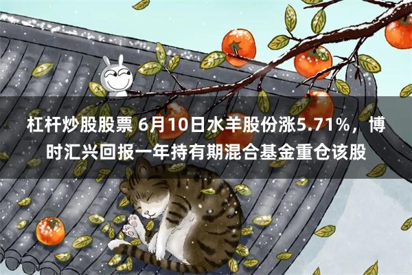 杠杆炒股股票 6月10日水羊股份涨5.71%，博时汇兴回报一年持有期混合基金重仓该股