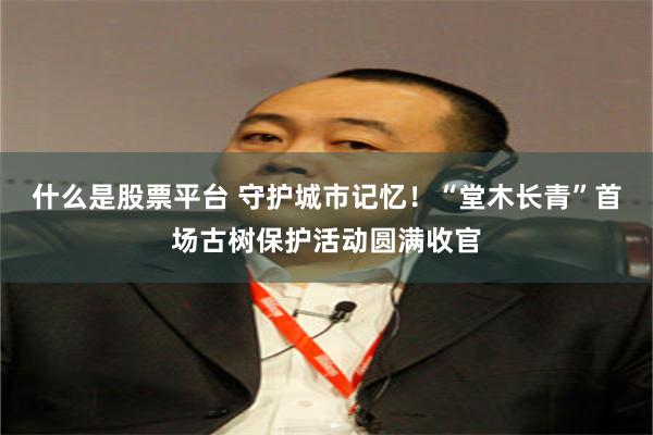 什么是股票平台 守护城市记忆！“堂木长青”首场古树保护活动圆满收官