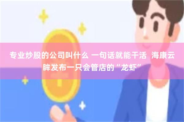 专业炒股的公司叫什么 一句话就能干活  海康云眸发布一只会管店的“龙虾”