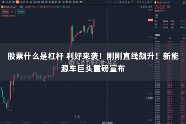 股票什么是杠杆 利好来袭！刚刚直线飙升！新能源车巨头重磅宣布