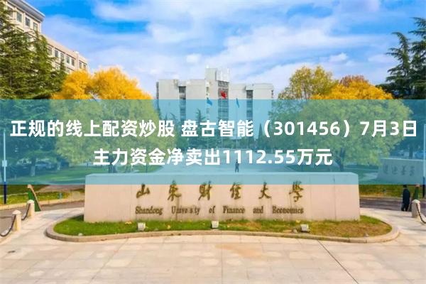 正规的线上配资炒股 盘古智能（301456）7月3日主力资金净卖出1112.55万元