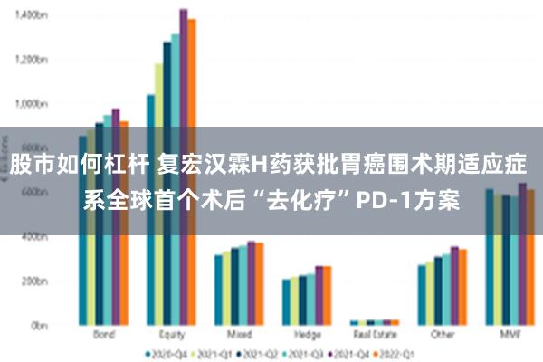 股市如何杠杆 复宏汉霖H药获批胃癌围术期适应症 系全球首个术后“去化疗”PD-1方案