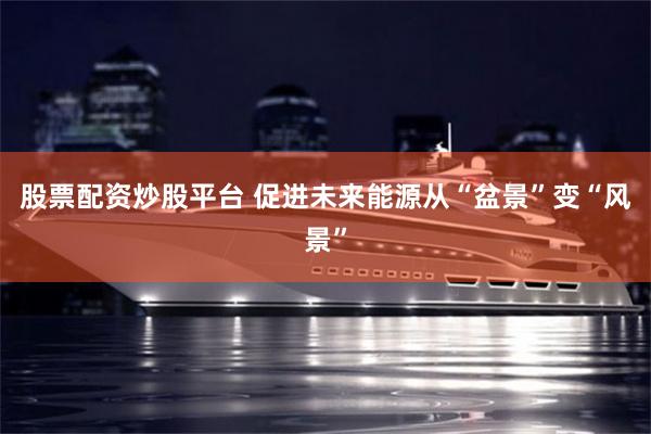 股票配资炒股平台 促进未来能源从“盆景”变“风景”