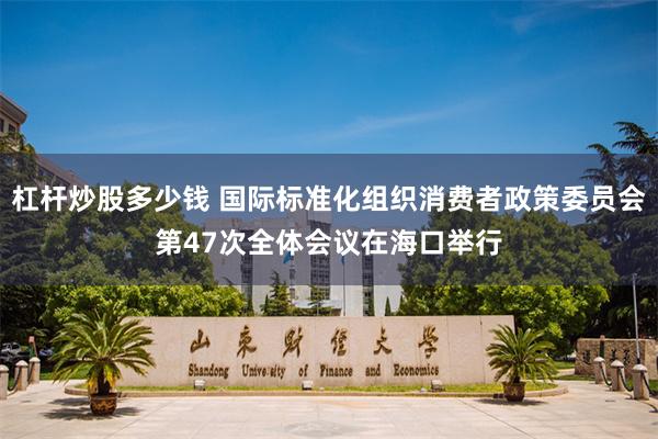 杠杆炒股多少钱 国际标准化组织消费者政策委员会第47次全体会议在海口举行